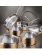 Bergner BGIC-3664 Infinity Chefs De Lux 20 cm Tri-Ply Casserole Pot with Glass Lid | Stainless Steel | Copper Hammer Finish - B08JCX9RDCL