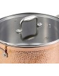 Bergner BGIC-3666 Infinity Chefs De Lux 28 cm Tri-Ply Casserole Pot with Glass Lid | Stainless Steel | Copper Hammer Finish - B08JM7GYFDS