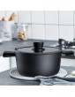 Cooking Pot 4.6 Litres Meat Pot 24 cm with Glass Lid Vegetable Pot Cast Aluminium Non-Stick Coating Stewing Pot Height 12 cm Suitable for Induction Cookers - B09DKWMS4ZF
