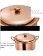 Soup Pot Handmade Copper Soup Pot Stew Pan Casserole Gas Stove Deepen Thick Copper Pot Stew Copper Pot with Lid Size : 24cm - B09DCNQ9KSX