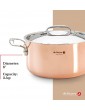 De Buyer 6242.2 Prima Matera Stewpan with Magnetic Bottom and Stainless Steel Lid 20 cm Diameter - B003XU6RP6U