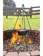 Lodge 25.4 cm 3.79 litre 4 quart Pre-Seasoned Cast Iron Outdoor Camp Dutch Oven - B00008GKDVH