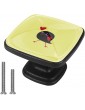 Square Handle Knobs Graffiti Bird Light Yellow - B09W6Y7S84F