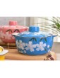 Pan Casserole Color Ceramic Soup Pot Japanese and Korean Ceramic Soup Pot Home Stockpot,Green - B0892GD7GYY