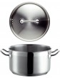 Professional 20 cm Stainless Steel Stewing Pan Plus Lid - B00GFIRW0MN