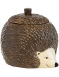 Hedgehog Ceramic Biscuit Barrel Cookie Jar Tin Storage Container Canister with Airtight Lid - B097HR4P9KM