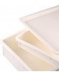 KELUNIS Pizza Dough Proofing Box with Lid Stackable Commercial Serving Trays 3 6 Deep for Pizza Shops Cake Shops Bakeries,6 deep - B09DL3NHQ7U