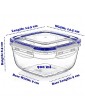 Lock&Fresh BPA Free Plastic Sealed food Storage Container Set 4 pcs 17 oz. 82 oz. - B0718WCCJ9I