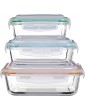 Premier Housewares Freska Glass Containers Multi-Colour Set of 3 - B07262BWG7Q
