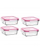 Superior Glass Meal Containers 4 Piece Set Leak Proof Food Storage Container with Airtight Lids BPA Free Freezer Microwave Portion Control Takeaway for Home and Work Pack 4 0.4 Litter 400,Gram - B07QFM1ZDJM