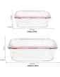 Vinsani 10 Pack Rectangle Glass Food Containers with Lids Airtight Glass Containers with Lids Food Prep Container Glass Meal Prep Containers Glass Storage Containers with Lids - B08NW3T84RG