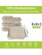 CVIUYO 20Pack 100% Compostable Clamshell Take Out Food Containers，Heavy-Duty Quality to Go Container,Eco-Friendly Biodegradable Made of Sugarcane Fiber,Microwaveable to Go Food Box【8x8x3】 - B09B9YNFFSB