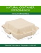 CVIUYO 20Pack 100% Compostable Clamshell Take Out Food Containers，Heavy-Duty Quality to Go Container,Eco-Friendly Biodegradable Made of Sugarcane Fiber,Microwaveable to Go Food Box【8x8x3】 - B09B9YNFFSB