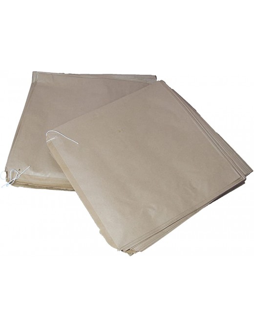 100 Large Kraft Brown Strung Paper Bags Medium Size 10 x 10 250 x 250mm Fruit Veg Food Sandwich Grocery - B0145Q4NN4H