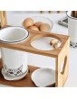 NENYAO Steel Cutlery Drainer Kitchen Drying Tool Suitable for Ceramic Kitchen Utensils Chopstick Holder Container Cutlery Holder-Double-barrel iron rack - B0B2QM9X9PE