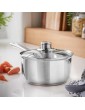 LEWIS'S Induction Pouring Saucepan with Glass Lid Mirror Polished Stainless Steel Stay Cool Handles 20cm - B08VS4T19QC