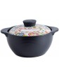 Terrines Casserole with Lids Multi-Size Ceramic Dry-Burning and Non-Cracking High Temperature Resistant Casserole for Cooking Soup with Multi-Function Open Flame Stew for Household - B08YYQFD8MB